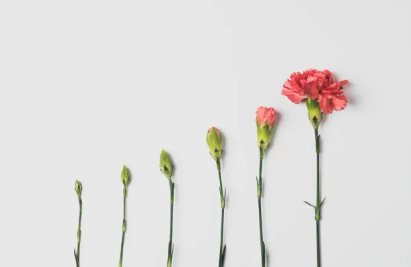 Open Source Product Growth Platform: How to Build the Full Growth Loop Without Tool Sprawl