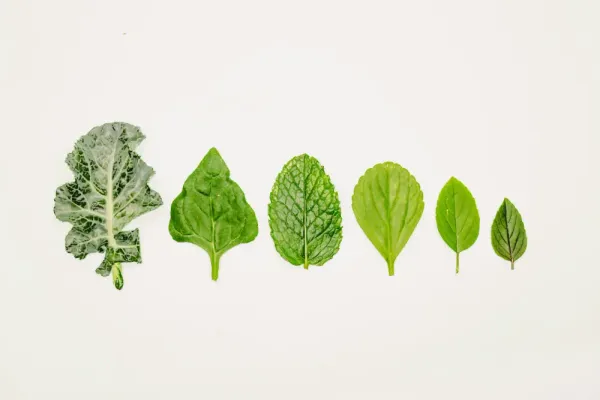 What Is Product Growth? A Practical Guide for SaaS Teams